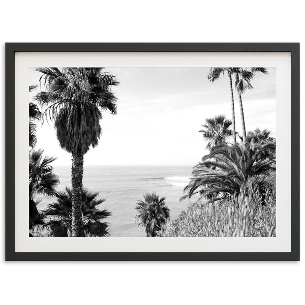 Swamis II - Shutter and Frame