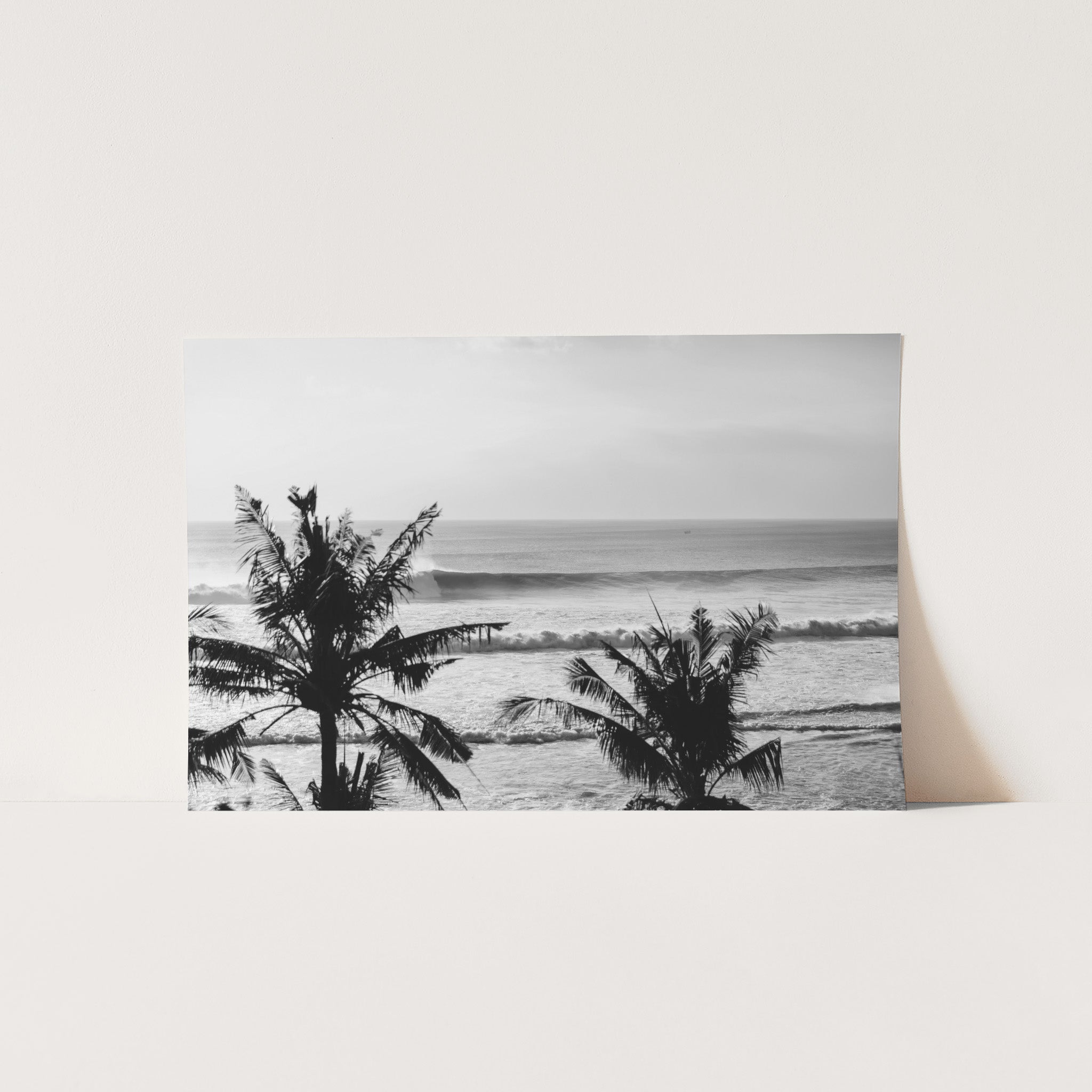Indo Swell II - Shutter and Frame