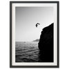 The Jump II - Shutter and Frame