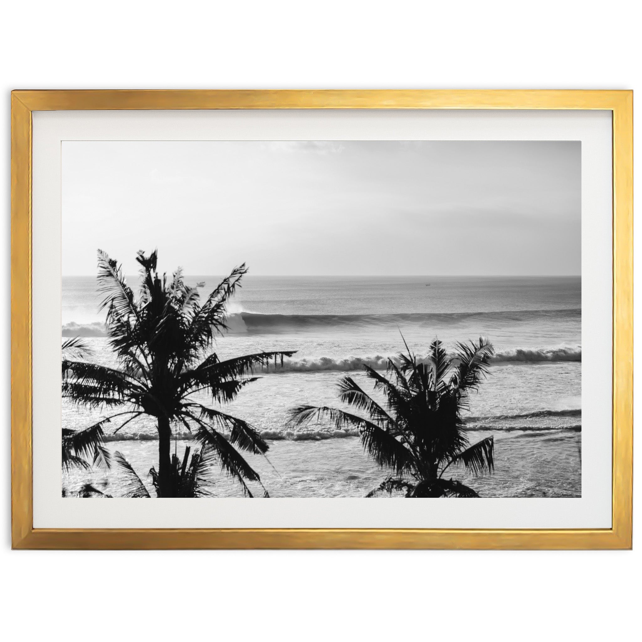 Indo Swell II - Shutter and Frame