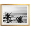 Indo Swell II - Shutter and Frame