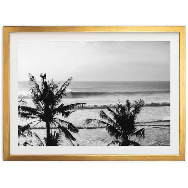 Indo Swell II - Shutter and Frame