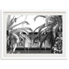 House of Hemingway - Shutter and Frame