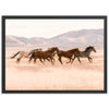 Gallop - Shutter and Frame