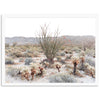 Ocotillo - Shutter and Frame