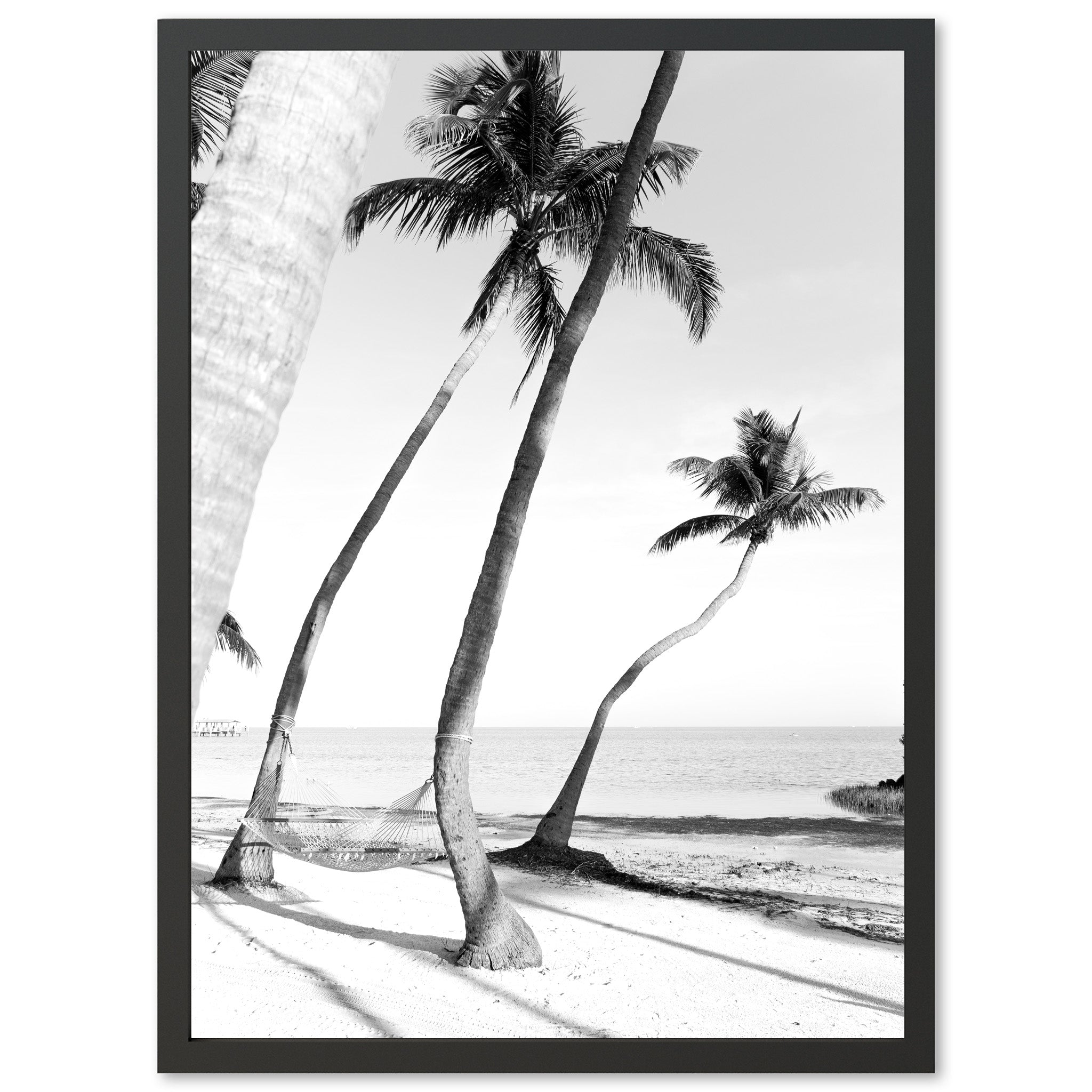 Hammock - Shutter and Frame