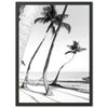 Hammock - Shutter and Frame