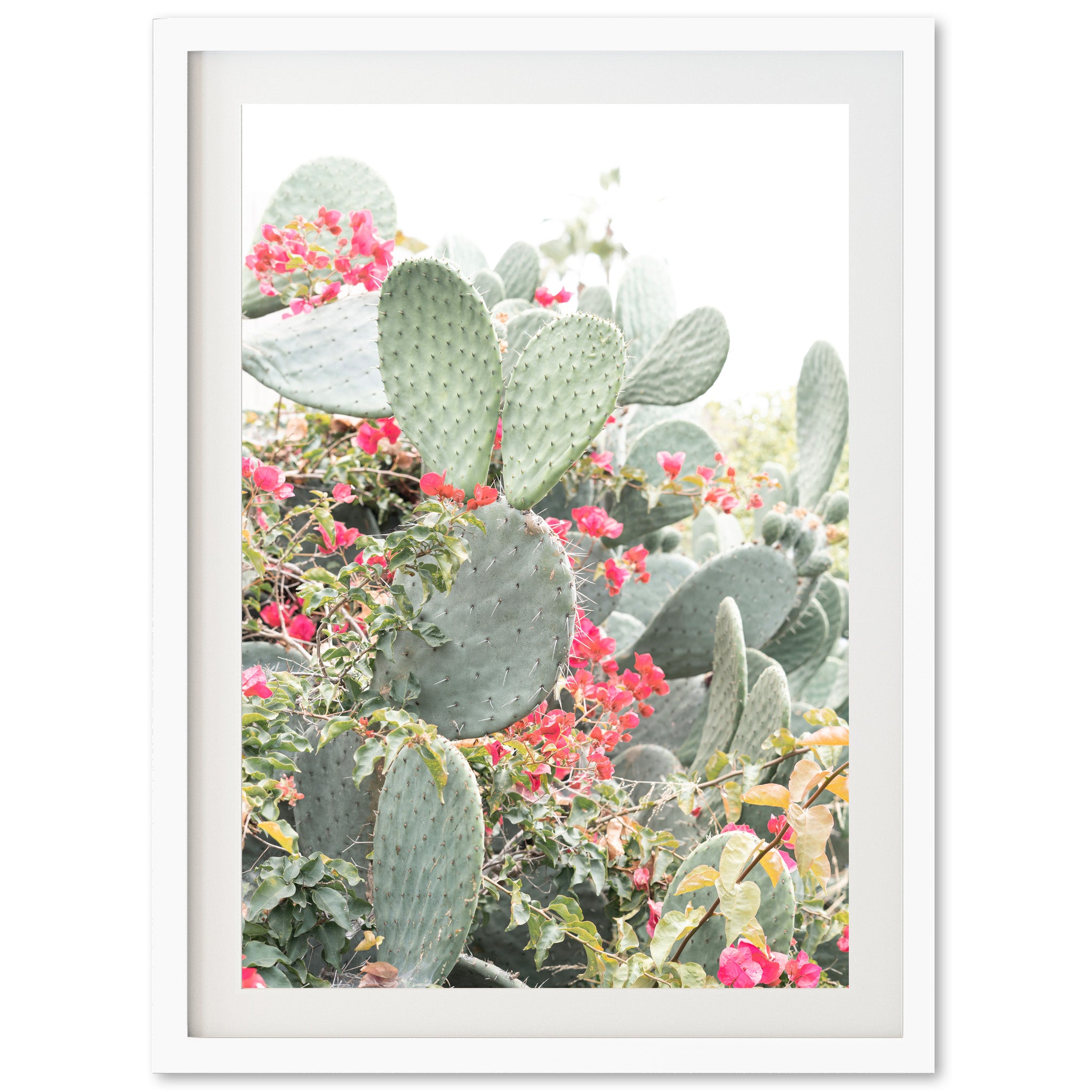 Petal and Thorn - Shutter and Frame