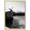 Escapade II - Shutter and Frame