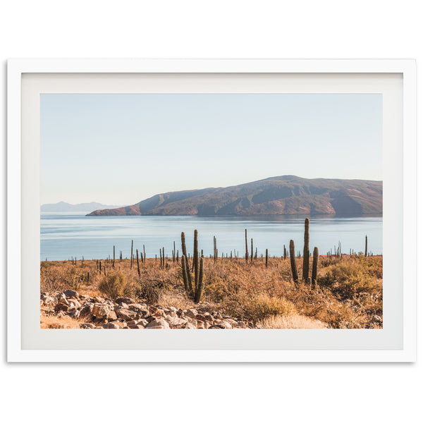 La Paz - Shutter and Frame