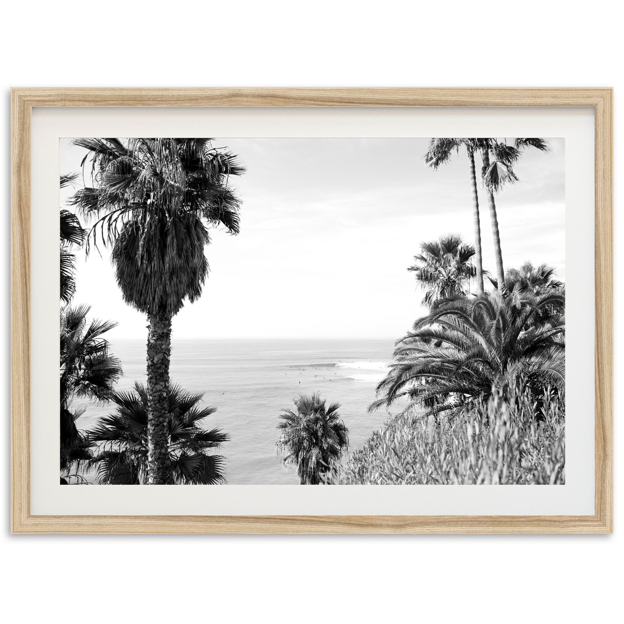 Swamis II - Shutter and Frame