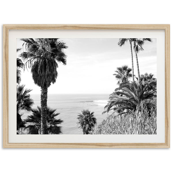Swamis II - Shutter and Frame