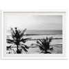 Indo Swell II - Shutter and Frame