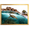 Marine Room - Shutter and Frame