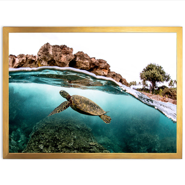 Marine Room - Shutter and Frame