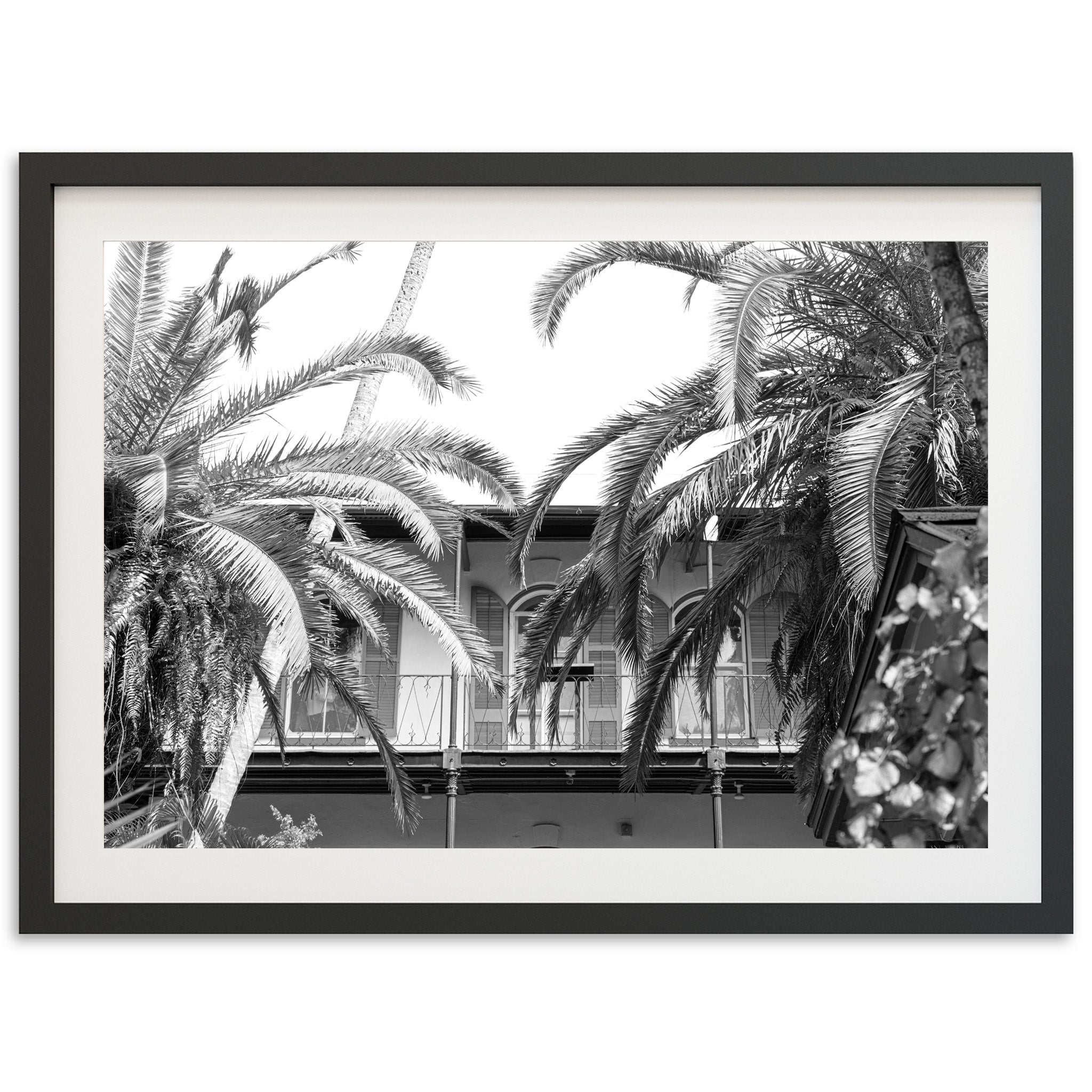 House of Hemingway - Shutter and Frame