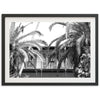 House of Hemingway - Shutter and Frame