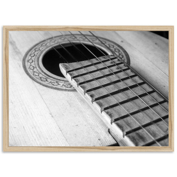Strings - Shutter and Frame