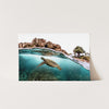 Marine Room - Shutter and Frame