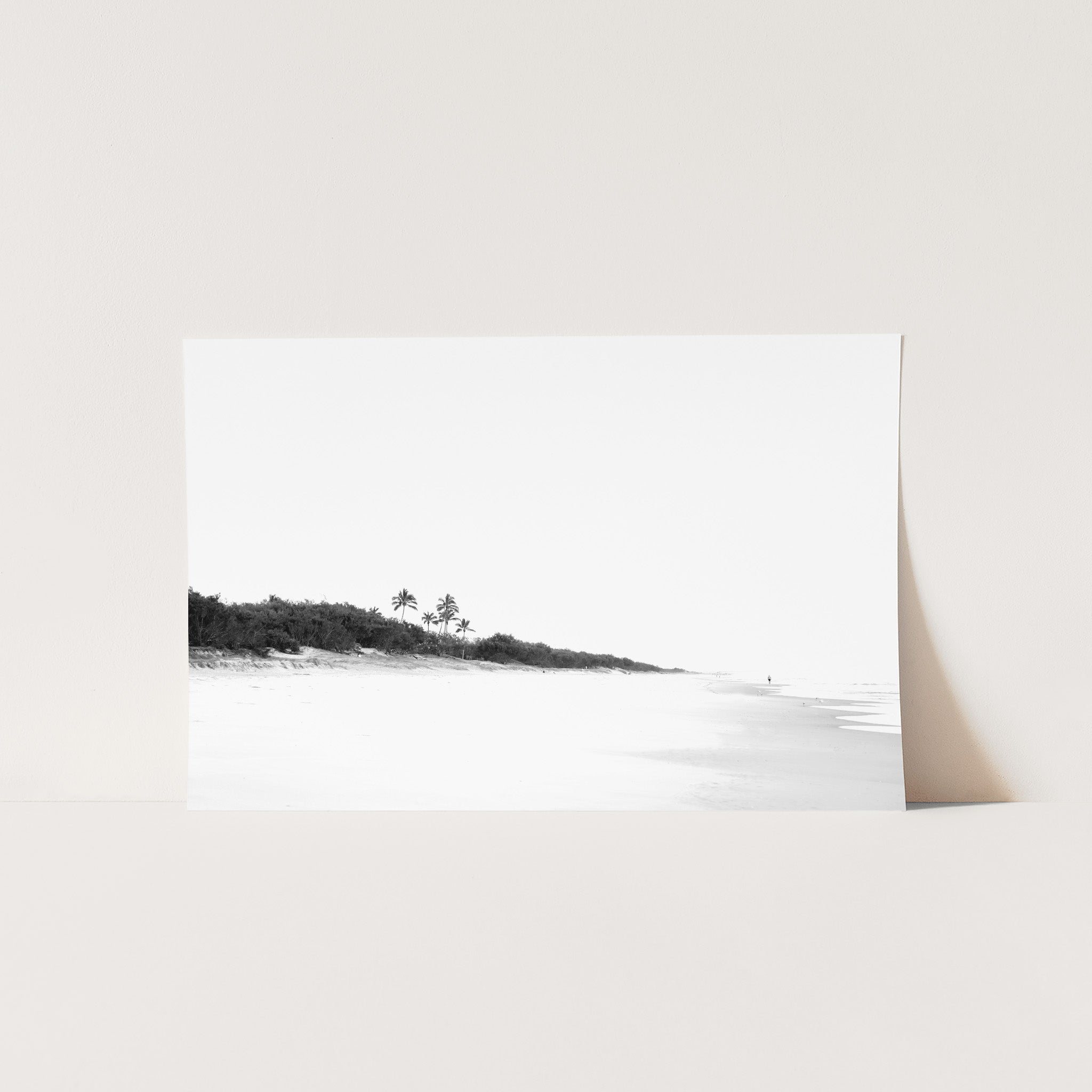 Balance - Shutter and Frame