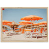 Umbrellas - Shutter and Frame