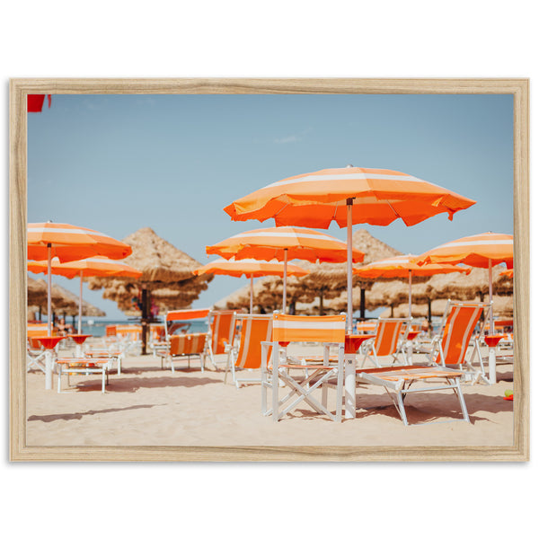 Umbrellas - Shutter and Frame