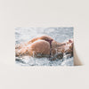 Splash - Shutter and Frame