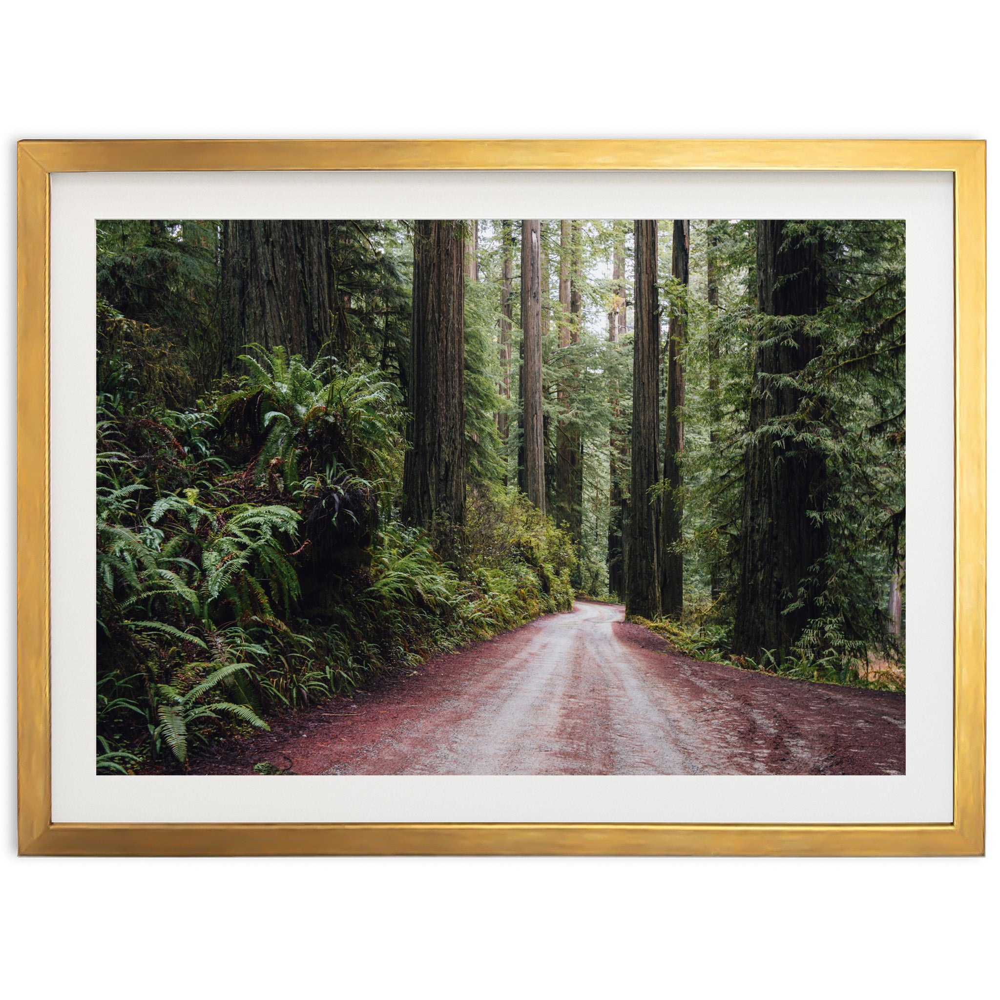 Redwood Road - Shutter and Frame