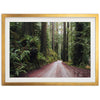Redwood Road - Shutter and Frame