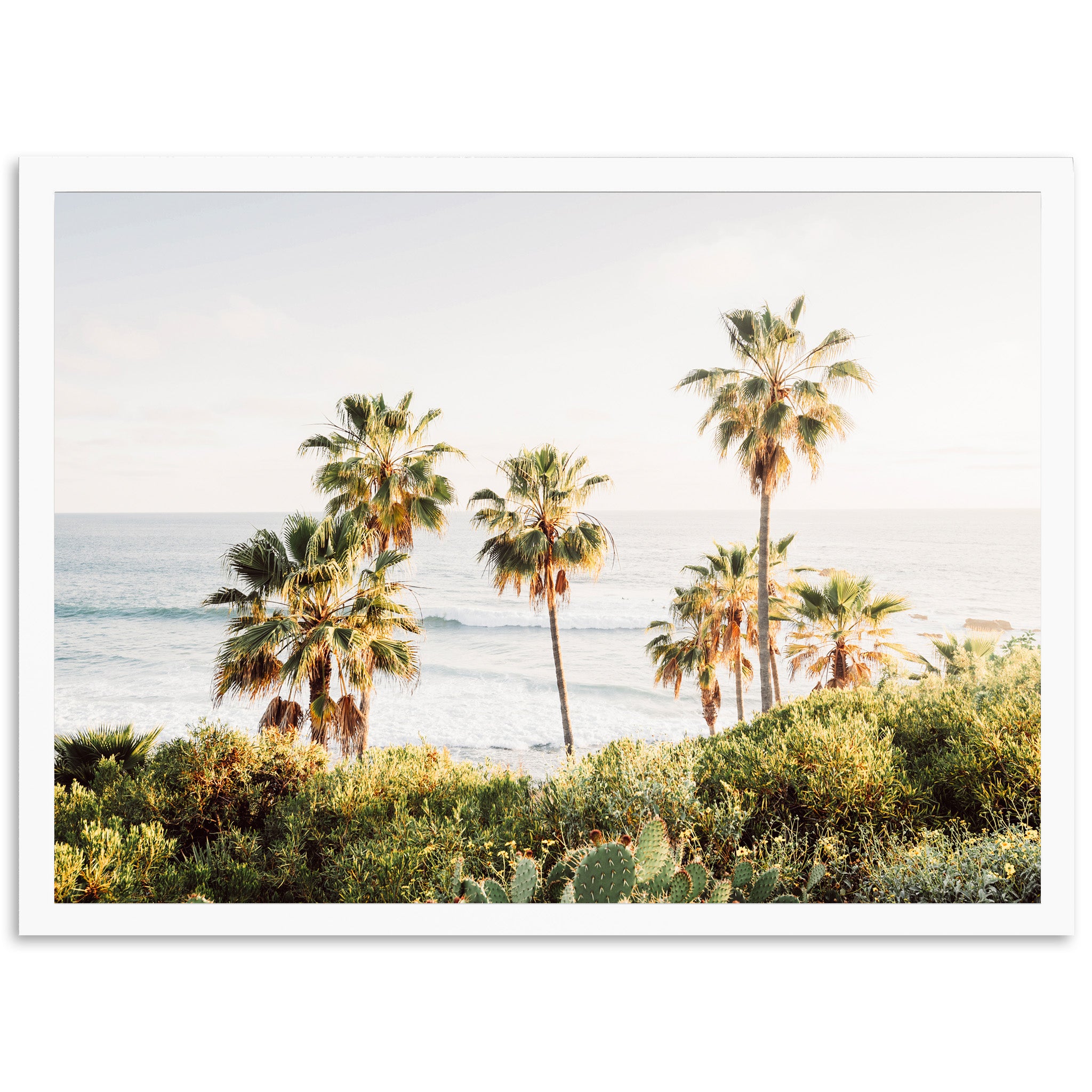 Destination - Shutter and Frame