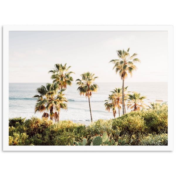 Destination - Shutter and Frame