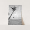 Palm Swing II - Shutter and Frame