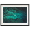 Through the Reef - Shutter and Frame