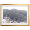 Lilac Bloom - Shutter and Frame