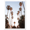 Beverly Hills - Shutter and Frame