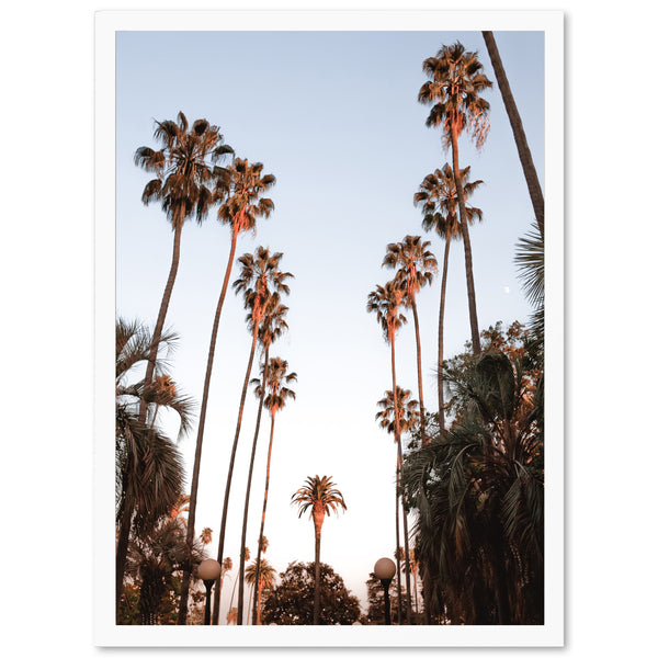 Beverly Hills - Shutter and Frame