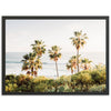 Destination - Shutter and Frame