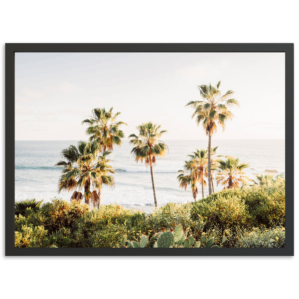 Destination - Shutter and Frame