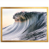 Glassy - Shutter and Frame