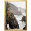 North Coast - Shutter and Frame