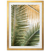 Shades of Green - Shutter and Frame