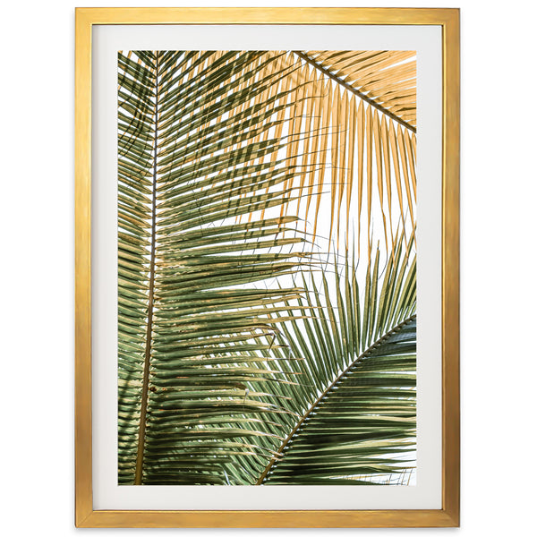 Shades of Green - Shutter and Frame