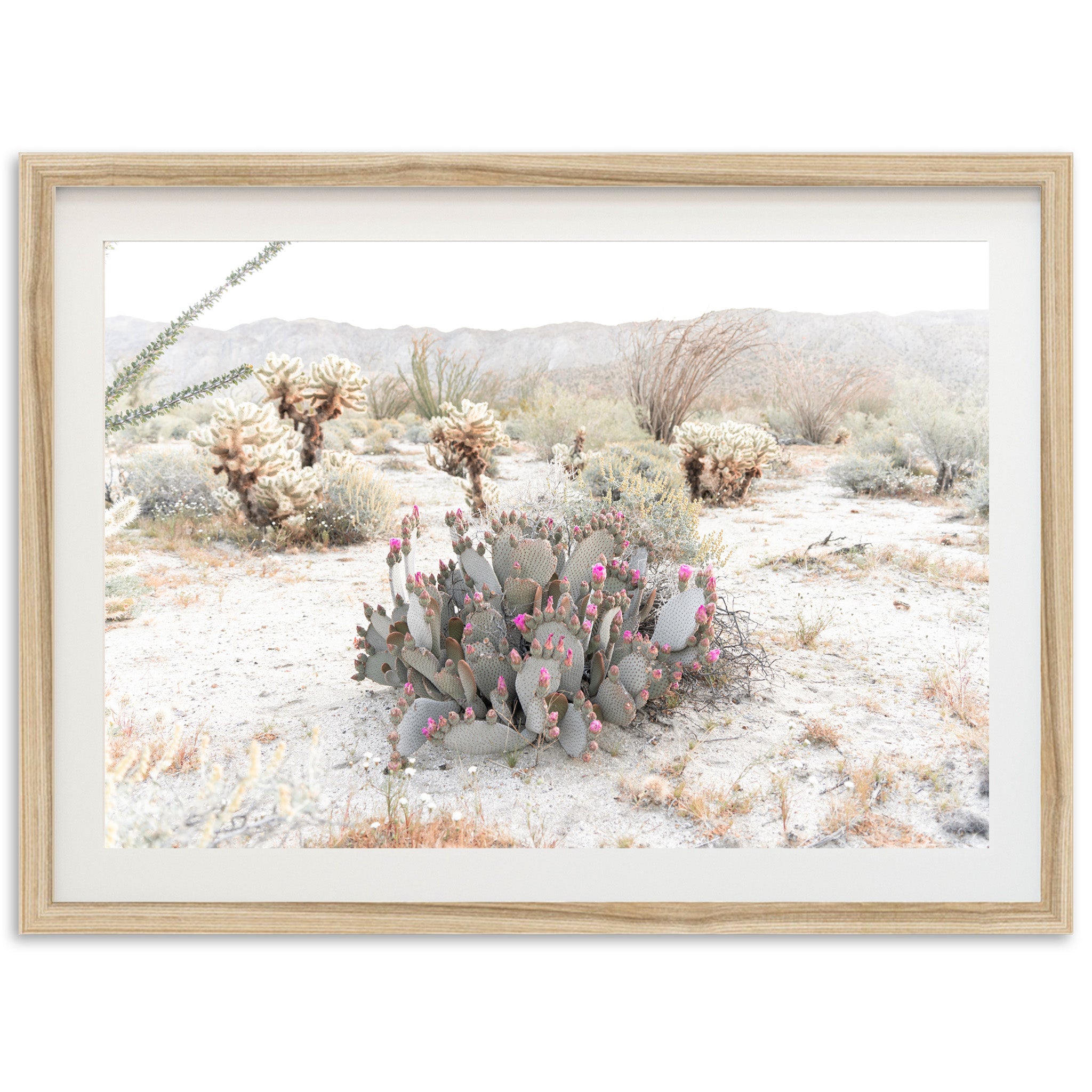 Desert Roses - Shutter and Frame