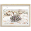 Desert Roses - Shutter and Frame