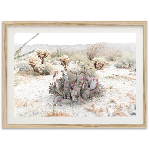 Desert Roses - Shutter and Frame