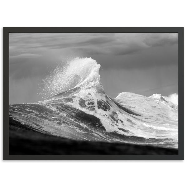 Pinnacle - Shutter and Frame
