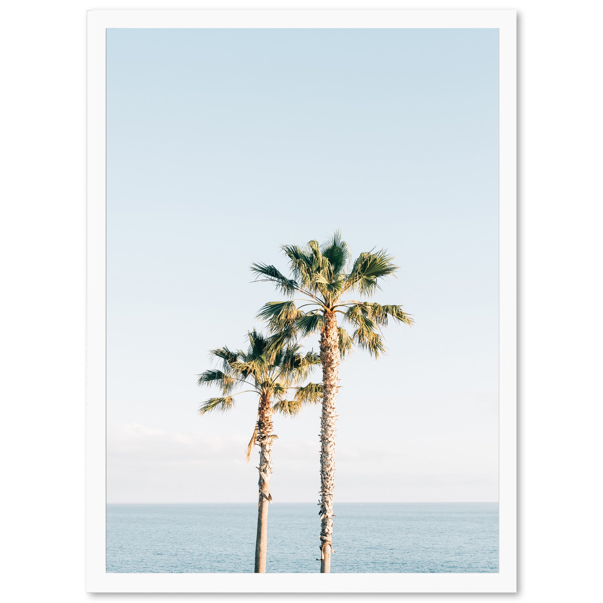 Ocean Palms - Shutter and Frame