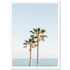 Ocean Palms - Shutter and Frame