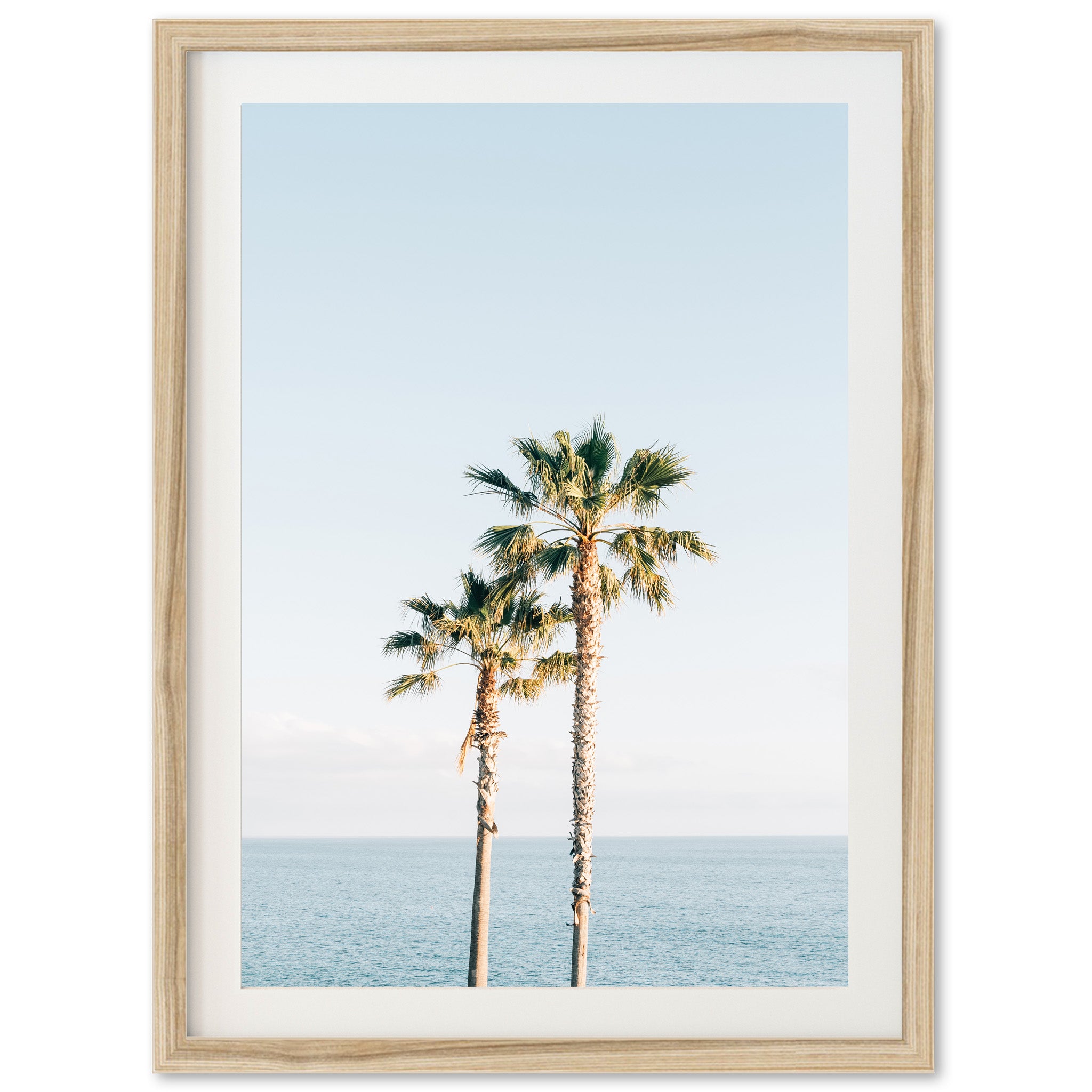 Ocean Palms - Shutter and Frame