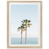 Ocean Palms - Shutter and Frame